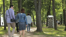 Turysty spaceru lato w miasto parku Peterhof, święty Petersburg zbiory wideo Turysty spaceru lato w miasto parku Peterhof, święty Petersburg zbiory wideo