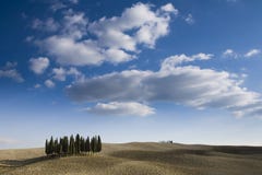 Tuscan Landscape Stock Image