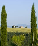 TUSCANY Countryside With Cypress And Farms Stock Photo TUSCANY Countryside With Cypress And Farms Stock Photo