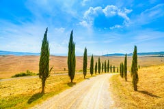 Tuscany landskap för vit väg för cypressträd lantligt, Italien, Europa royaltyfri foto Tuscany landskap för vit väg för cypressträd lantligt, Italien, Europa royaltyfri foto