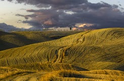 Tuscany landskap, höstfält, Italien, Val, D, Orcia royaltyfri fotografi Tuscany landskap, höstfält, Italien, Val, D, Orcia royaltyfri fotografi