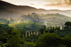 Tuscany Light an Mist royalty free stock photography Tuscany Light an Mist royalty free stock photography