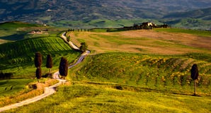 Tuscany scene from gladiator movie with road and farmhouse stock image Tuscany scene from gladiator movie with road and farmhouse stock image