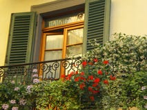 Tuscany window with shutters. And flowers on a Tuscan street in Lucca Italy Tuscany window with shutters. And flowers on a Tuscan street in Lucca Italy