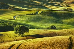 Tuscany wiosna, toczni wzgórza na zmierzchu Volterra wiejski landscap obraz royalty free Tuscany wiosna, toczni wzgórza na zmierzchu Volterra wiejski landscap obraz royalty free