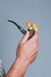 Tuyau de fumée dans la main masculine avec des fleurs image stock Tuyau de fumée dans la main masculine avec des fleurs image stock