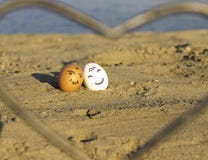 Två le fega ägg på stranden fotografering för bildbyråer Två le fega ägg på stranden fotografering för bildbyråer