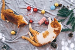 Två orange kattungar på matta i julferie med garnering och prydnaden royaltyfri foto Två orange kattungar på matta i julferie med garnering och prydnaden royaltyfri foto