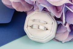 Två silvervigselringar med diamanter i sammetgåvaask arkivfoto Två silvervigselringar med diamanter i sammetgåvaask arkivfoto
