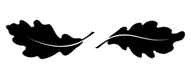 Twee eiken bladeren zwarte pictogrammen vector illustratie Twee eiken bladeren zwarte pictogrammen vector illustratie