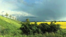 Twee gebieden - het gele verkrachting bloeien en groene gekleurde installaties De gele gebiedsveranderingen in Groen gebied na gr stock footage Twee gebieden - het gele verkrachting bloeien en groene gekleurde installaties De gele gebiedsveranderingen in Groen gebied na gr stock footage
