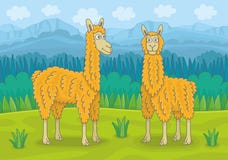 Twee lama's royalty-vrije illustratie Twee lama's royalty-vrije illustratie