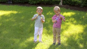Twee vrolijk klein broersspel met zeepbels in het park op groen gras stock footage Twee vrolijk klein broersspel met zeepbels in het park op groen gras stock footage