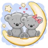Two Bears on the moon