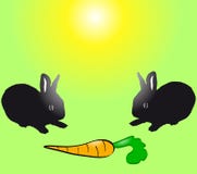 Two Black Baby Rabbits With Carrot. Stock Photography