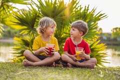 Two boys drink healthy smoothies against the backdrop of palm trees. Mango and watermelon smoothies. Healthy nutrition stock images Two boys drink healthy smoothies against the backdrop of palm trees. Mango and watermelon smoothies. Healthy nutrition stock images
