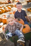 Two Boys Playing in Wheelbarrow at the Pumpkin Patch royalty free stock images Two Boys Playing in Wheelbarrow at the Pumpkin Patch royalty free stock images
