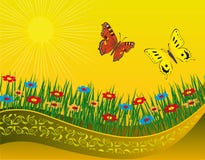 Two Butterflies On A Blooming Meadow Royalty Free Stock Images