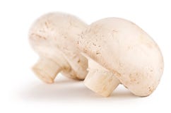Two Button Mushrooms Royalty Free Stock Photos