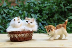 The two cat in the basket with one cat walking at the floor. stock images The two cat in the basket with one cat walking at the floor. stock images