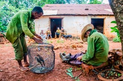 Two cuban peasants on their break time. Mayabeque, Cuba stock photo Two cuban peasants on their break time. Mayabeque, Cuba stock photo