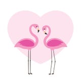 Two cute flamingos in love stock illustration Two cute flamingos in love stock illustration