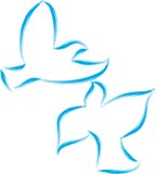 Two doves flying together