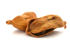 Two dry cardamom see pods on white background Stock Image Two dry cardamom see pods on white background Stock Image