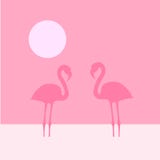 Two Flamingo Royalty Free Stock Photography