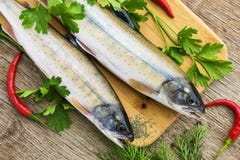 Two fresh uncooked fish one kind of salmon with aromatic herbs on wooden cutting board Royalty Free Stock Images Two fresh uncooked fish one kind of salmon with aromatic herbs on wooden cutting board Royalty Free Stock Images