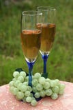 Two Glasses Of White Wine & Grapes Stock Image