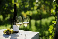 Two glasses of white wine royalty free stock image Two glasses of white wine royalty free stock image