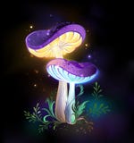 Two glowing mushrooms on black background