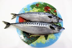 Two gutted mackerel lie on a colored dish. Prepared for pickling royalty free stock image Two gutted mackerel lie on a colored dish. Prepared for pickling royalty free stock image