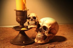 Two Human skull stock image Two Human skull stock image