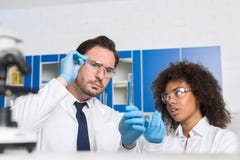 Two Laboratory Scientists Examining Liquid In Test Tube, Mix Race Lab Workers Study Results Of Chemical Research Stock Images Two Laboratory Scientists Examining Liquid In Test Tube, Mix Race Lab Workers Study Results Of Chemical Research Stock Images