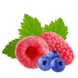 Two raspberry and blueberry fruits with leaves isolated on white royalty free stock images Two raspberry and blueberry fruits with leaves isolated on white royalty free stock images