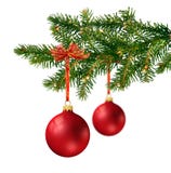 Two Red Glass Balls On Christmas Tree Branch Royalty Free Stock Photo