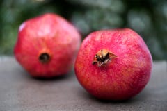 Two Red Pomegranates On Blurred Background royalty free stock photography Two Red Pomegranates On Blurred Background royalty free stock photography