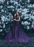 Two sisters-princesses in luxurious purple dresses with long trains, hug against the background of blooming lilacs. On wavy, curly stock image Two sisters-princesses in luxurious purple dresses with long trains, hug against the background of blooming lilacs. On wavy, curly stock image