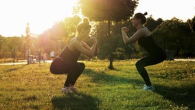 Two sports women training and squat together in the park at sunset. Fitness, aerobics and stretching exercises, healthy stock footage Two sports women training and squat together in the park at sunset. Fitness, aerobics and stretching exercises, healthy stock footage