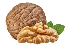 Walnut isolated closeup on white background with clipping path. Nut macro. Walnuts with leaf as package design element collection stock photos Walnut isolated closeup on white background with clipping path. Nut macro. Walnuts with leaf as package design element collection stock photos