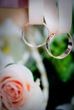 Two Wedding Rings On A Ribbon Royalty Free Stock Photo