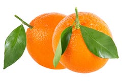 Two Whole Oranges With Leaf Isolated On White Royalty Free Stock Photography Two Whole Oranges With Leaf Isolated On White Royalty Free Stock Photography