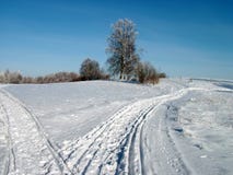 Two Winter Ways Royalty Free Stock Photography Two Winter Ways Royalty Free Stock Photography