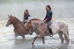 Two young women on horses stay in the lake royalty free stock image Two young women on horses stay in the lake royalty free stock image