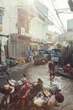 Tylna aleja w Chinatown Chiang Mai obrazy stock Tylna aleja w Chinatown Chiang Mai obrazy stock