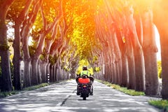 Tylni widok mężczyzny jeździecki motocykl przez tunelu drzewa pas ruchu fotografia royalty free Tylni widok mężczyzny jeździecki motocykl przez tunelu drzewa pas ruchu fotografia royalty free