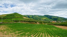 Rural landscape on Sao Miguel island, Azores, Portugal Stock Photo Rural landscape on Sao Miguel island, Azores, Portugal Stock Photo