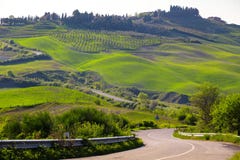 Typical Tuscan Landscape Stock Images Typical Tuscan Landscape Stock Images